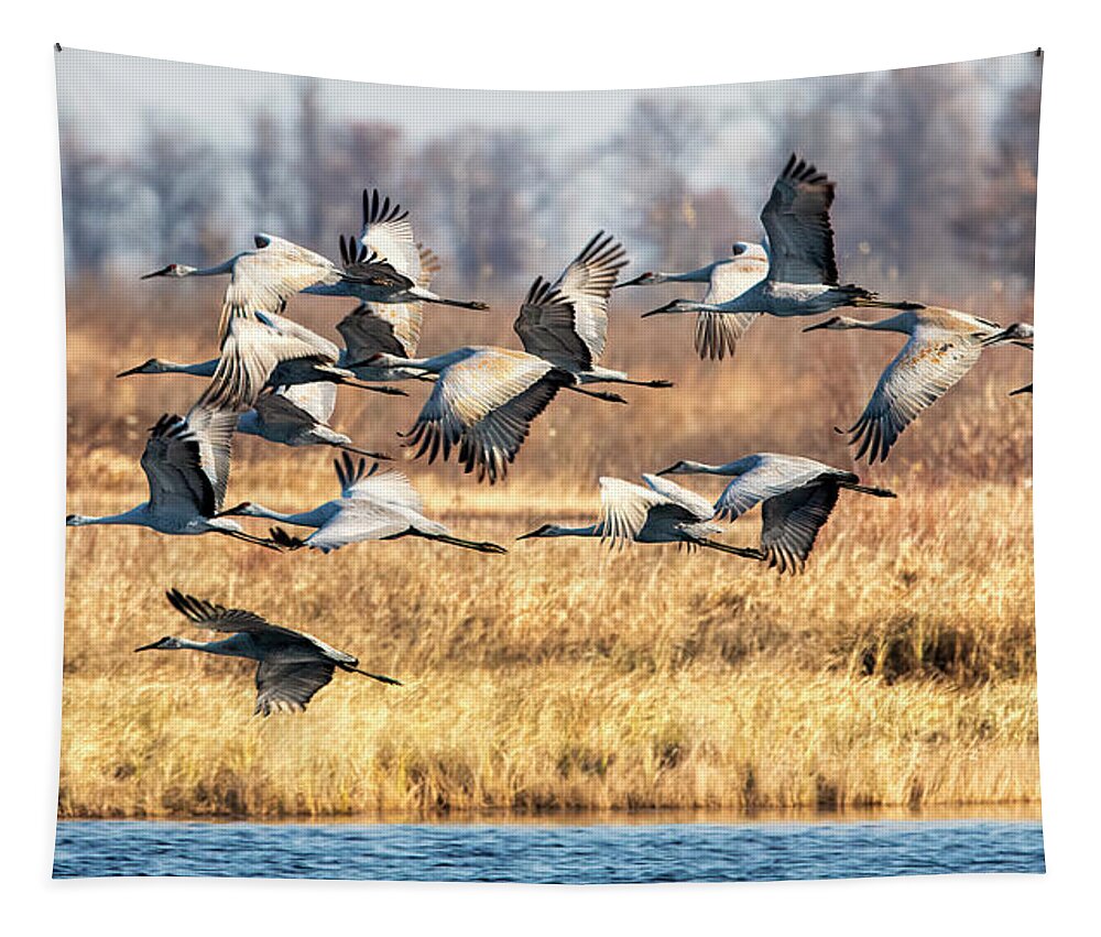 Sandhill Tapestry featuring the photograph Sandhill Cranes by Al Mueller