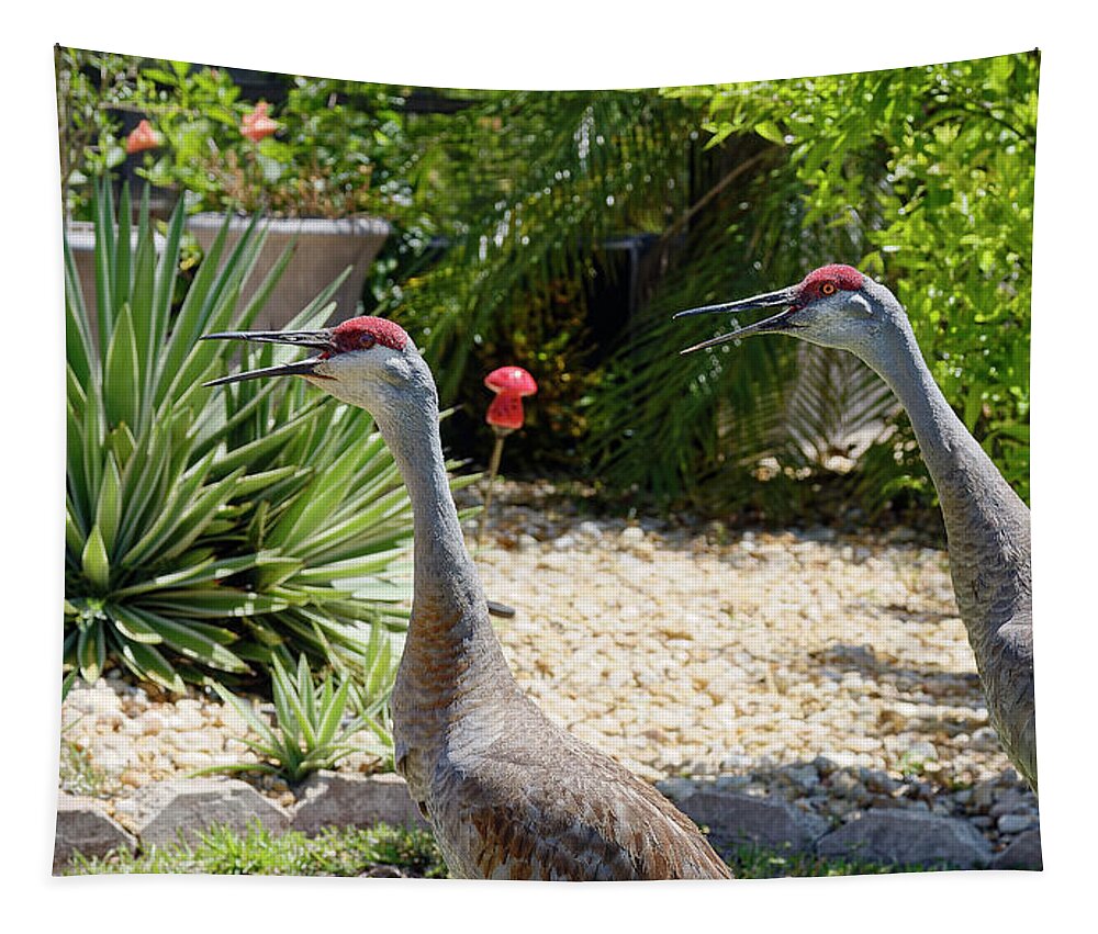 2 Sandhill Cranes Tapestry featuring the photograph Sandhill Cranes Making Bugle Calls by Sally Weigand