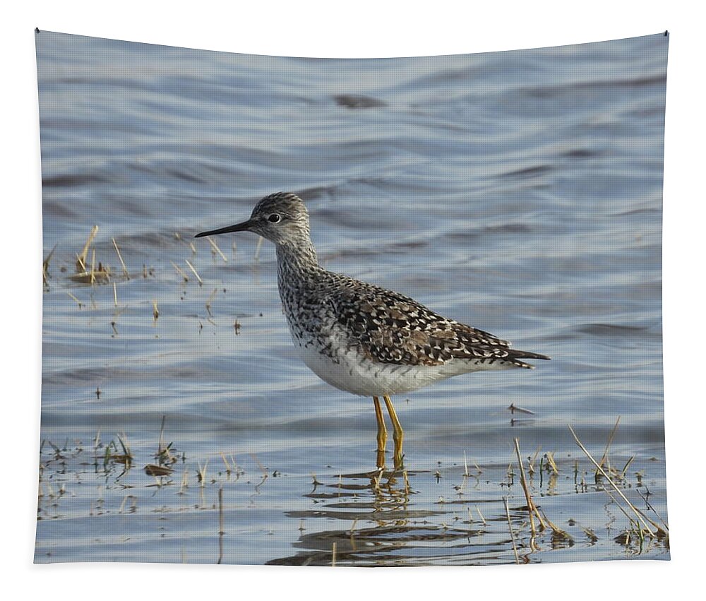 Sandpiper Tapestry featuring the photograph Sandpiper by Amanda R Wright