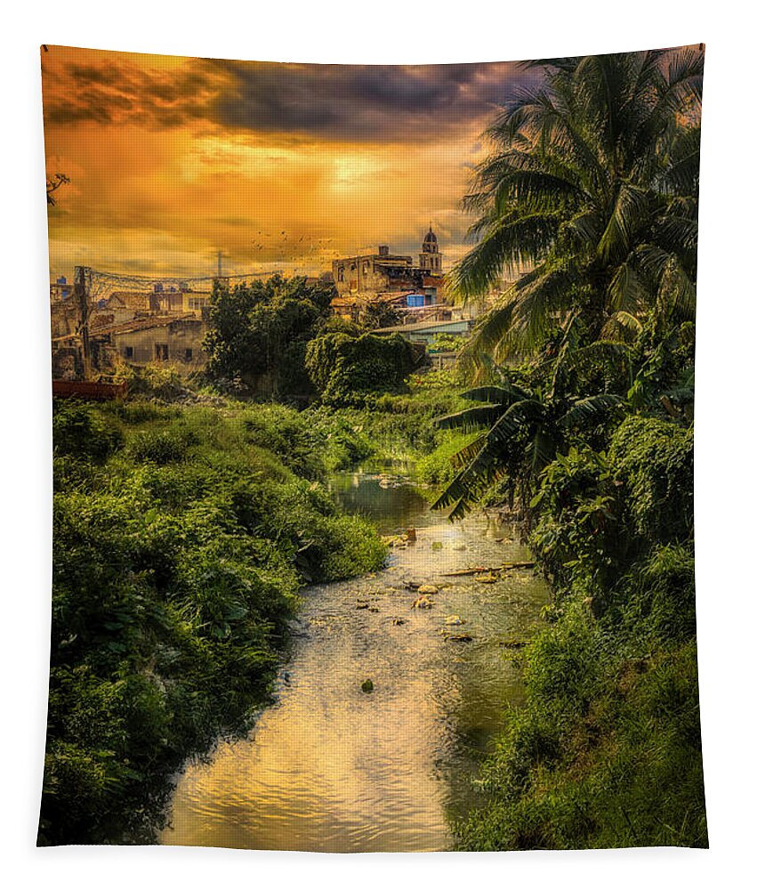 Creek Tapestry featuring the photograph Santa Clara Guadalupe River by Micah Offman