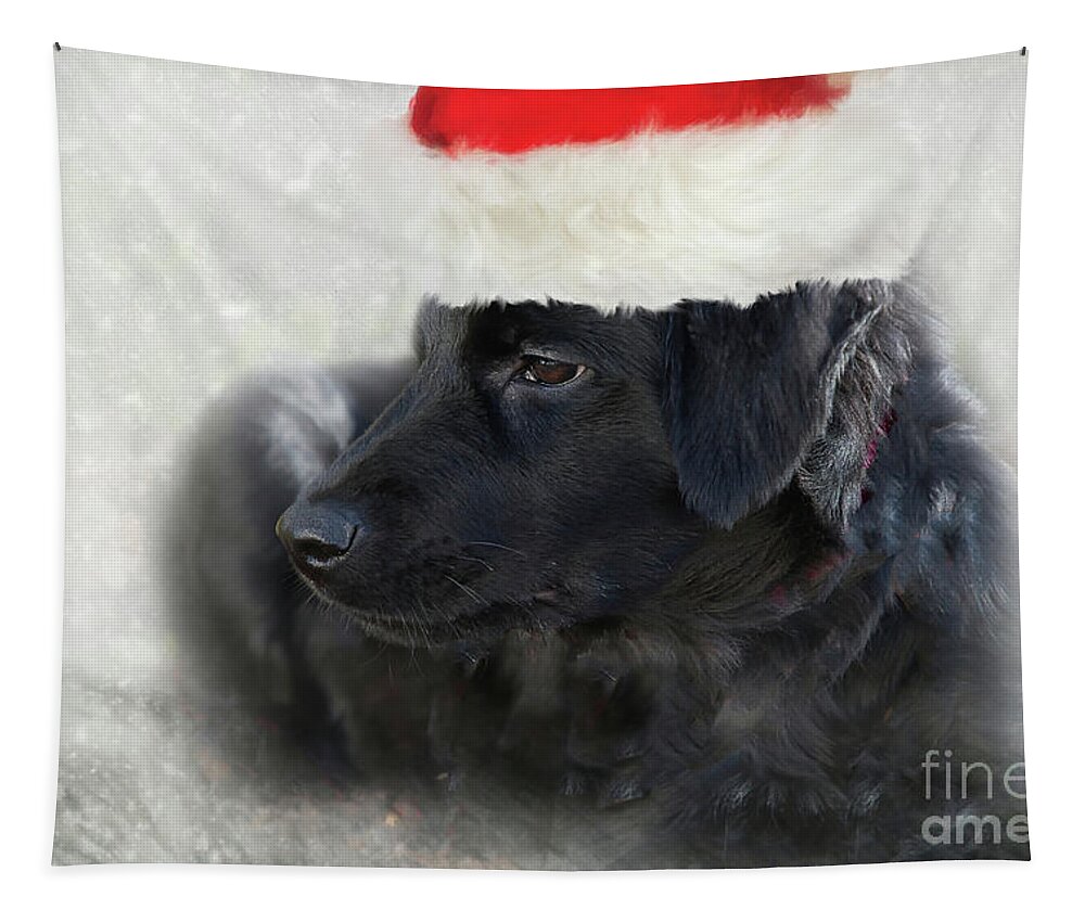 Adorable Tapestry featuring the photograph Santa Puppy by Amy Dundon