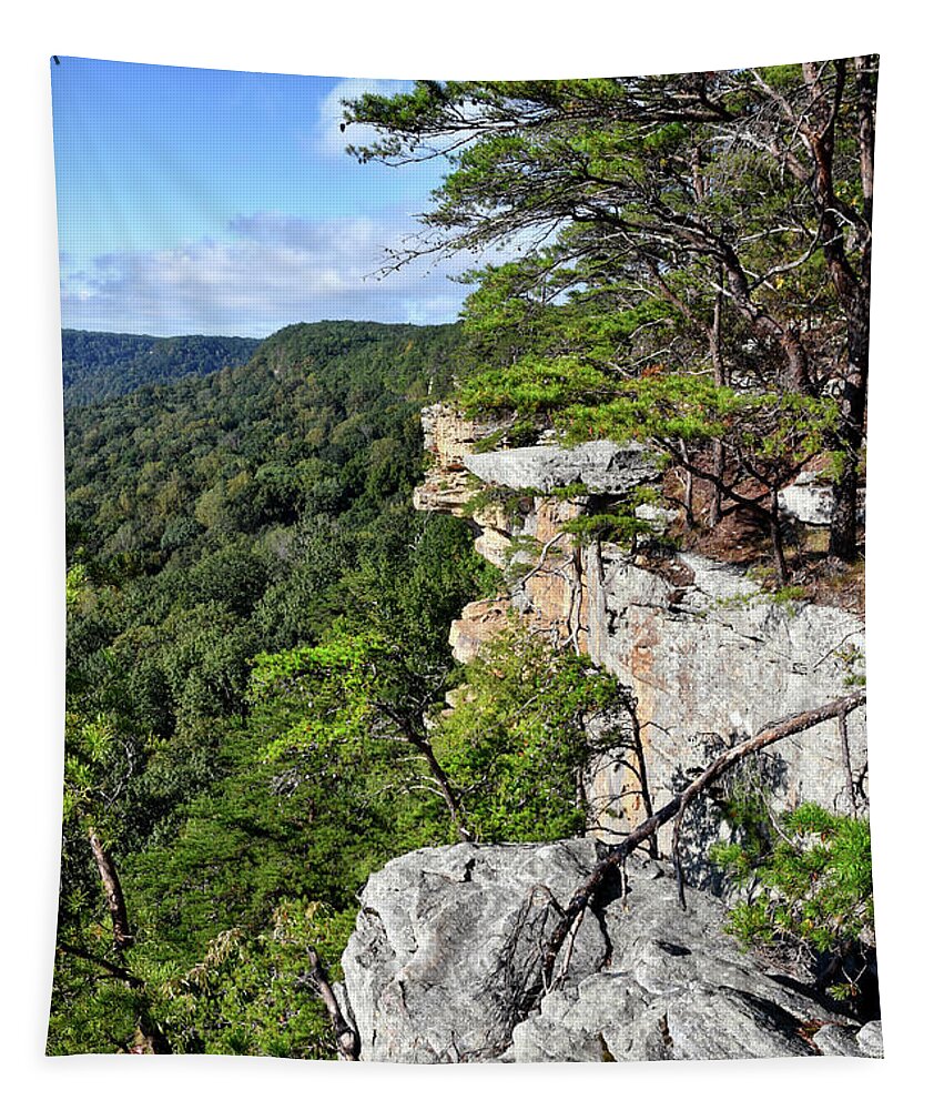 Savage Gulf Tapestry featuring the photograph Savage Gulf 23 by Phil Perkins