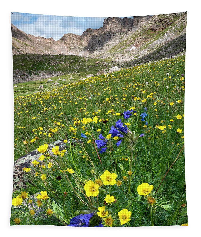 Colorado Tapestry featuring the photograph Sawtooth Wildflowers by Aaron Spong