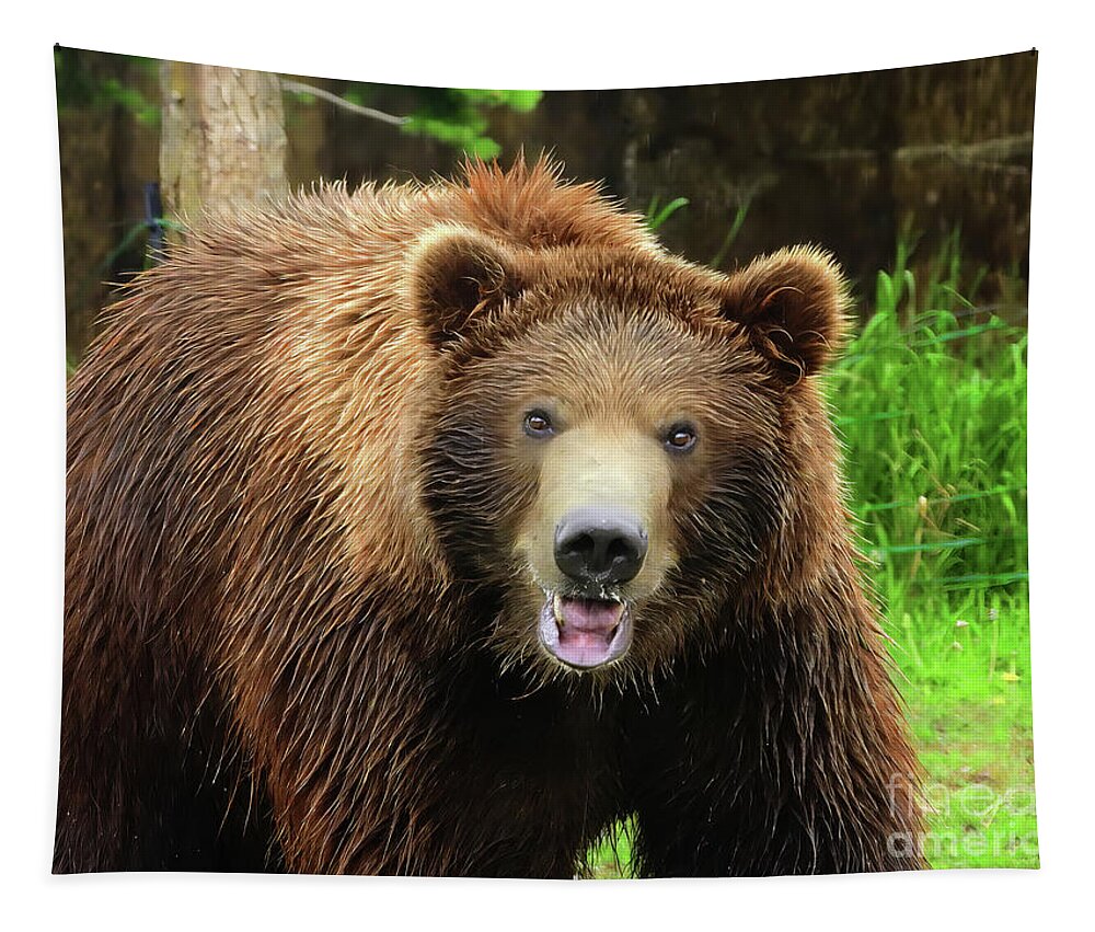 Grizzly Tapestry featuring the photograph Say Cheese Pose by Scott Cameron