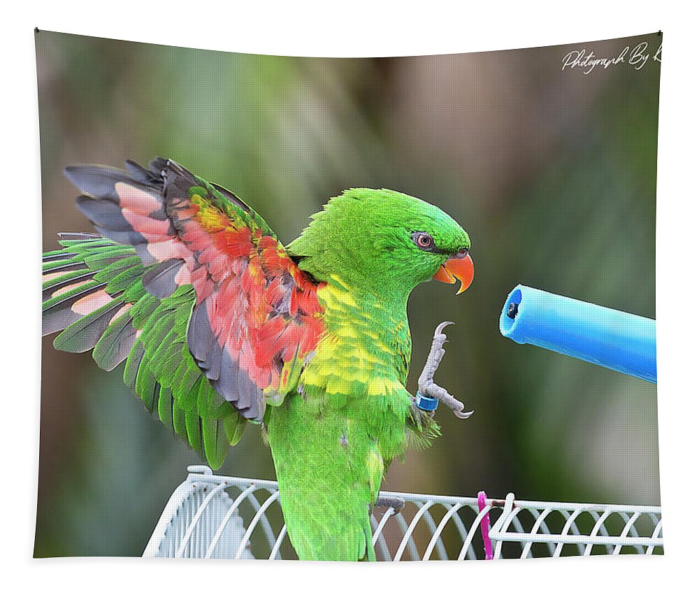 Scaly Breasted Lorikeet Tapestry featuring the digital art Scaly breasted lorikeet 57 by Kevin Chippindall