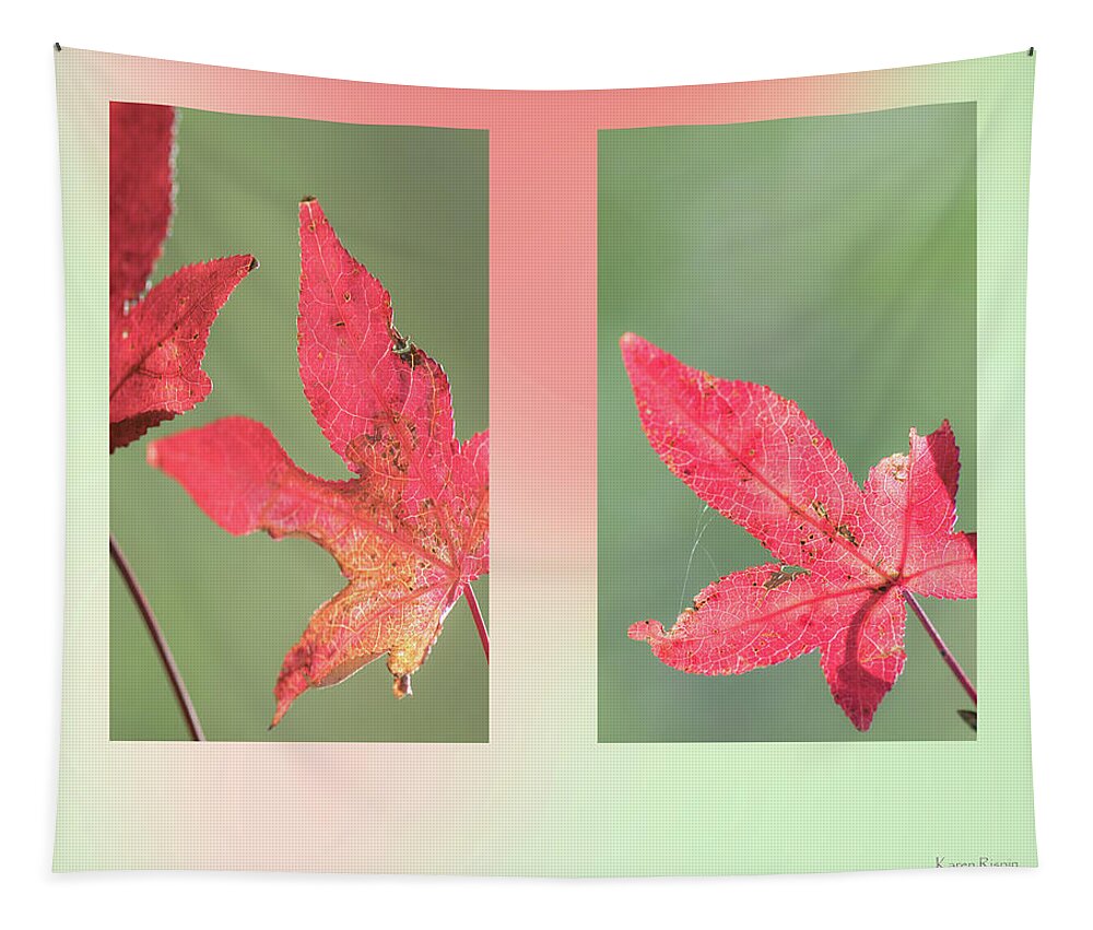 Autumn Tapestry featuring the photograph Scarlet Sweetgum by Phil And Karen Rispin