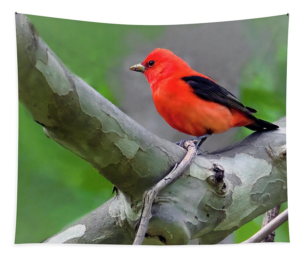 Bird Tapestry featuring the photograph Scarlet Tanager by Art Cole