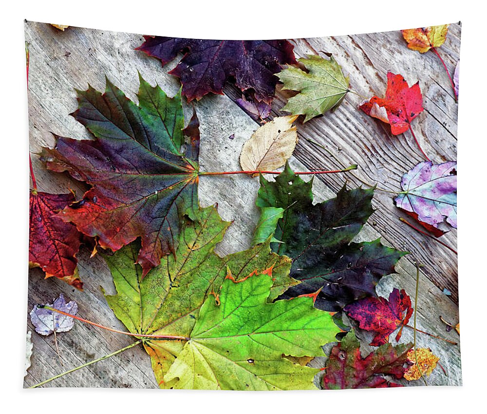 Scattered Autumn Leaves Tapestry featuring the photograph Scattered Autumn Leaves by Doolittle Photography and Art