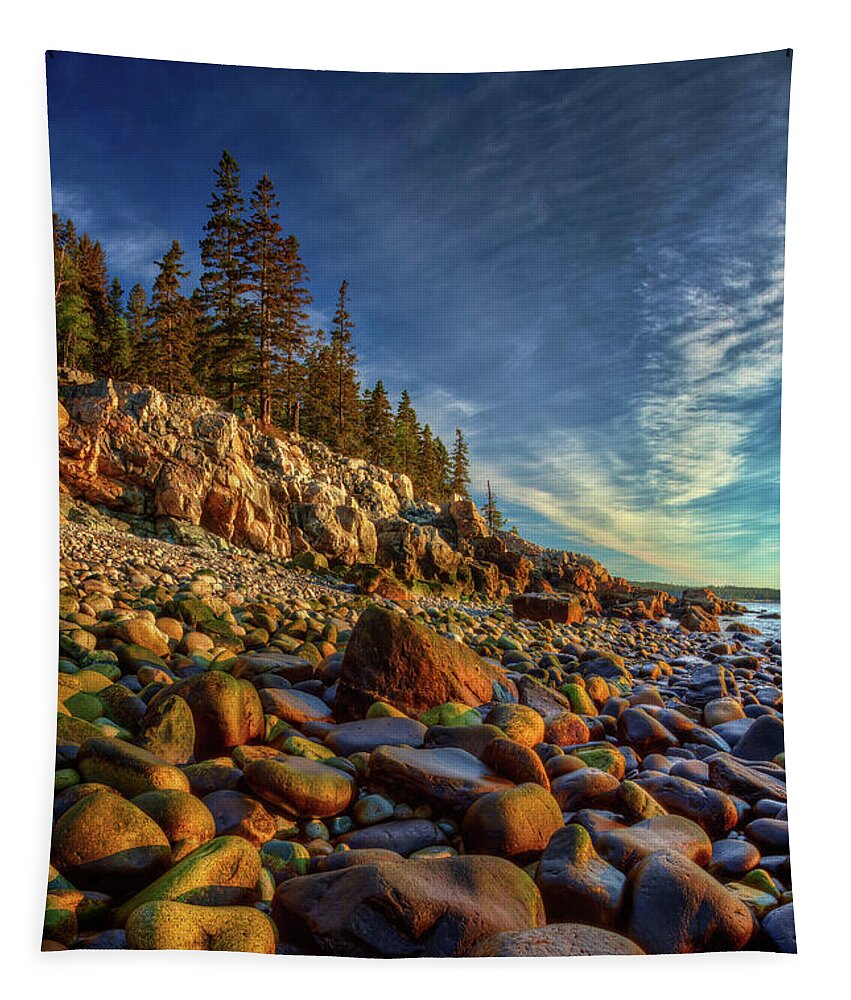 Acadia National Park Tapestry featuring the photograph Schoodic Peninsula 0527 by Greg Hartford