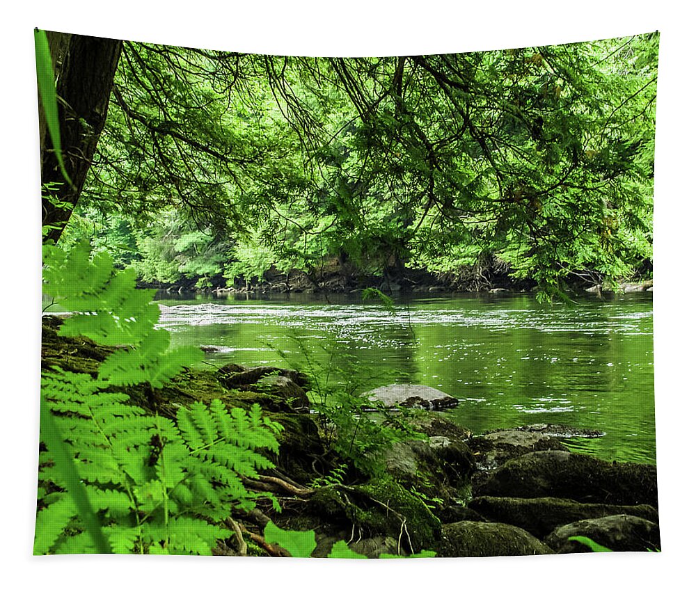 Adirondacks Tapestry featuring the photograph Schroon River Adirondacks by Louis Dallara