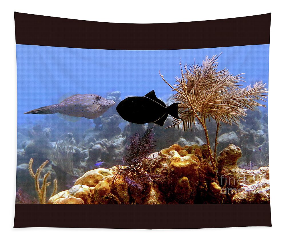 Underwater Tapestry featuring the photograph Scrawled Filefish and Black Durgon 1 by Daryl Duda