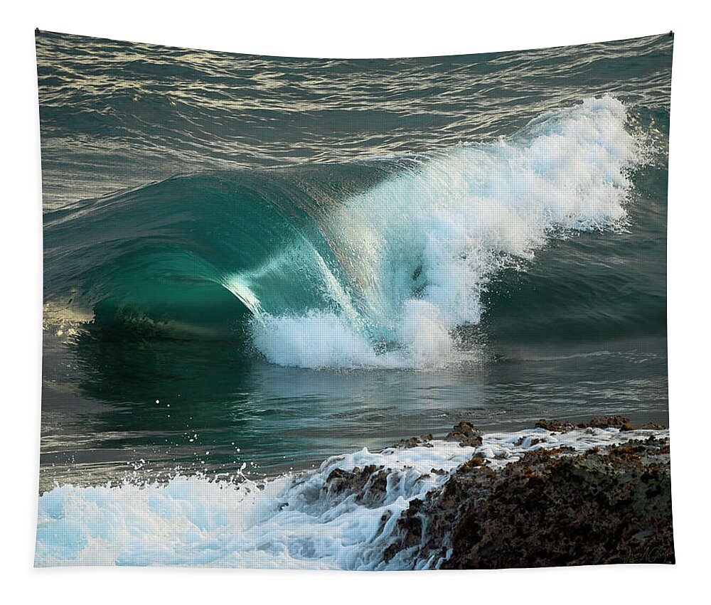 Hawaii Tapestry featuring the photograph Sea Glass by James Covello