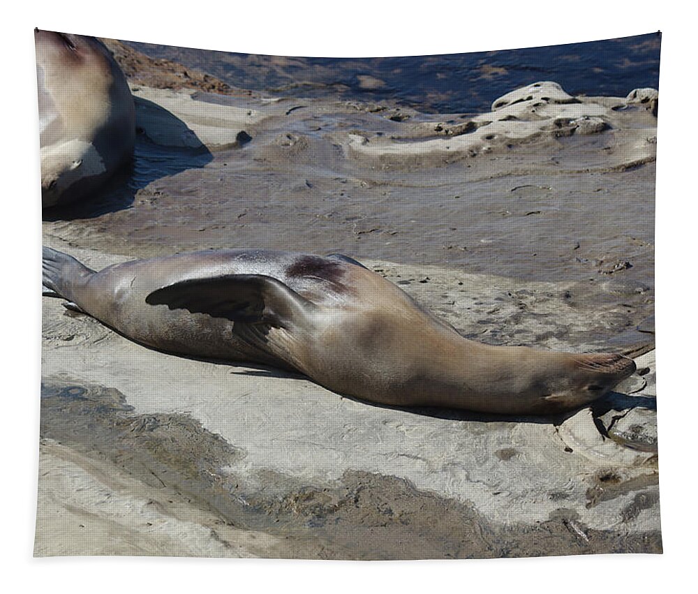 Sea Lions Tapestry featuring the photograph Sea Lions in the Sun by Cathy Anderson