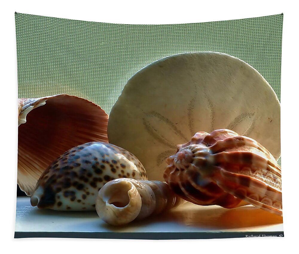 Still Life Tapestry featuring the photograph Sea Shells Window Sill by Richard Thomas