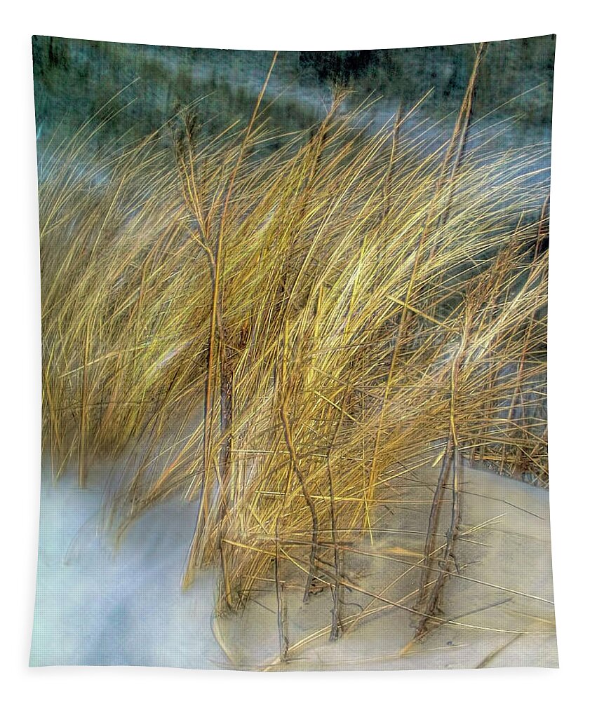 Seagrass Tapestry featuring the photograph Seagrass at Watch Hill, Rhode Island by Cordia Murphy