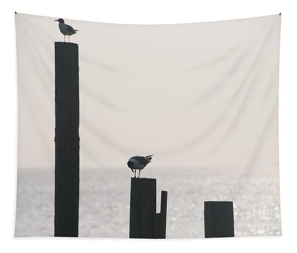 Beach Tapestry featuring the photograph Seagull 5 by Andrea Anderegg
