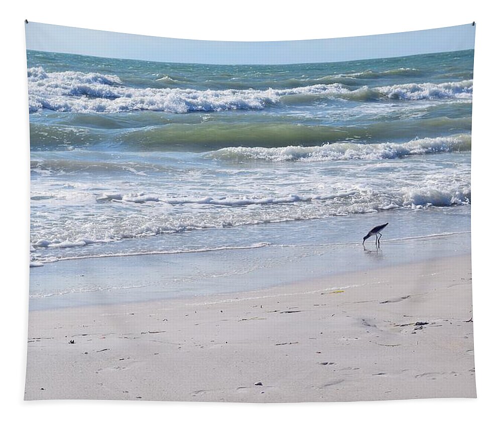 Bird Tapestry featuring the photograph Seagull on Beach - Photo 76 by Lucie Dumas