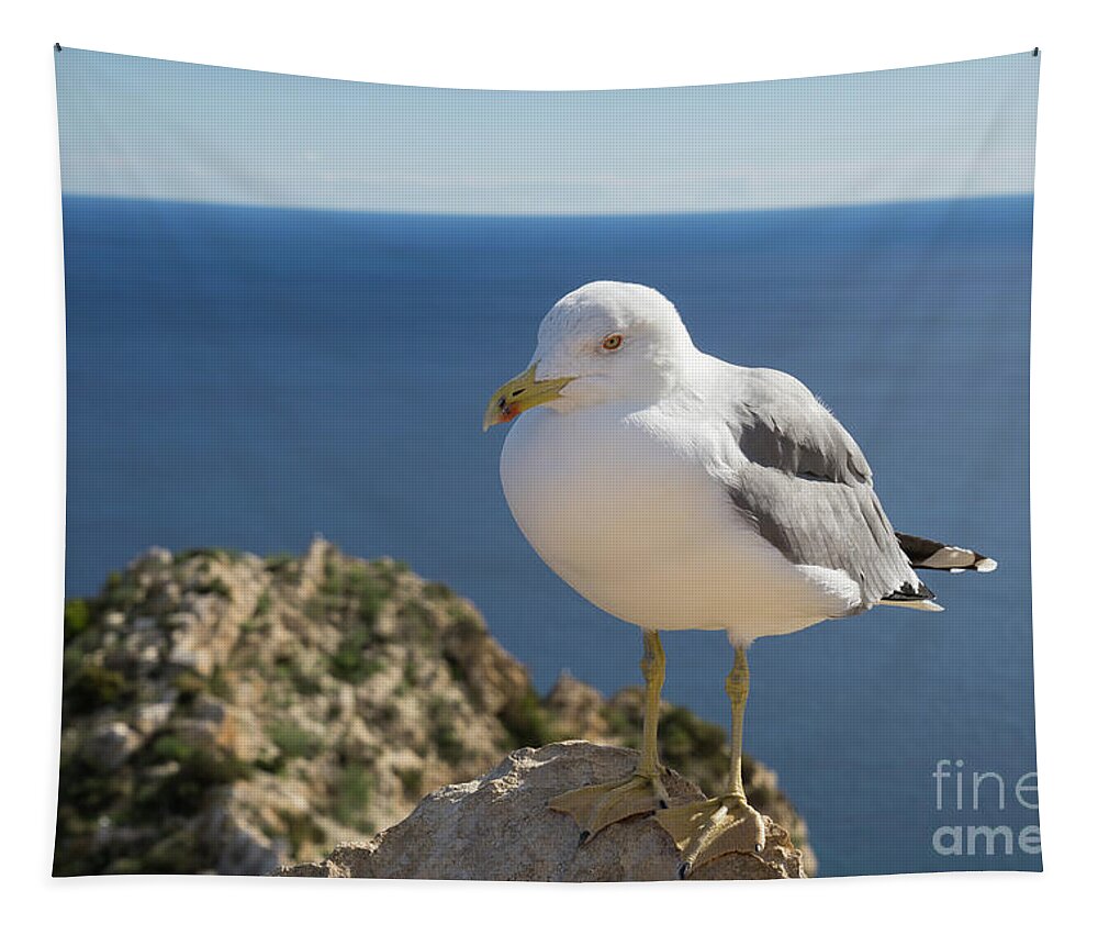 Seagull Tapestry featuring the photograph Seagull of the Mediterranean coast by Adriana Mueller