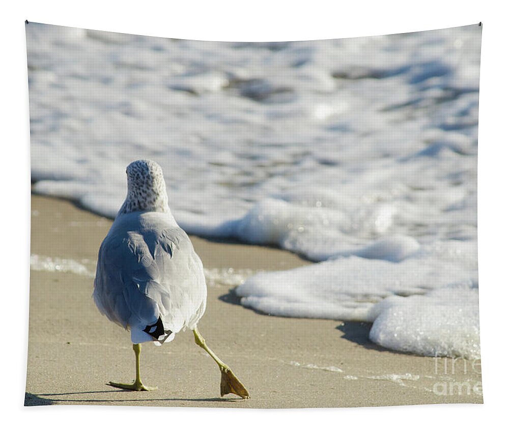 Ocean Tapestry featuring the photograph Seagull Shuffle Coastal Bird Animal / Wildlife Photograph by PIPA Fine Art - Simply Solid