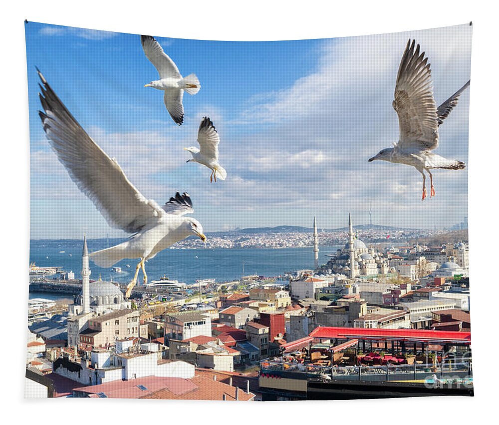 Turkey Tapestry featuring the photograph Seagulls of Istanbul by Anastasy Yarmolovich