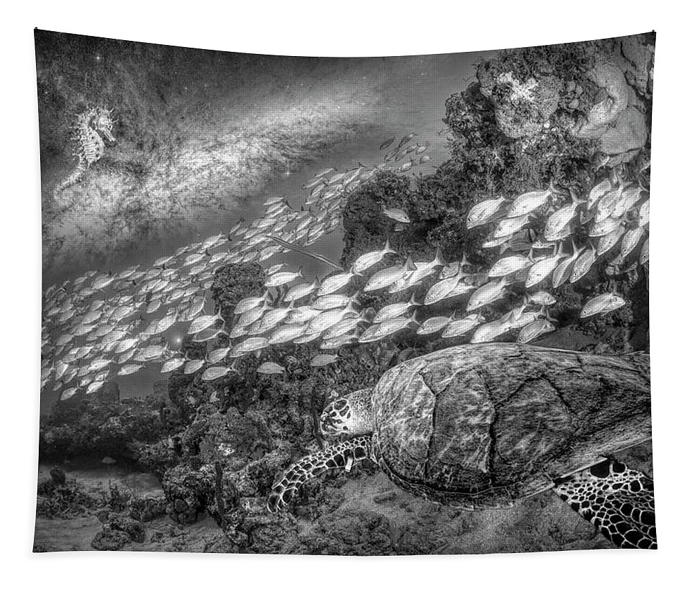 Underwater Tapestry featuring the photograph Seahorse and Turtle Black and White by Debra and Dave Vanderlaan