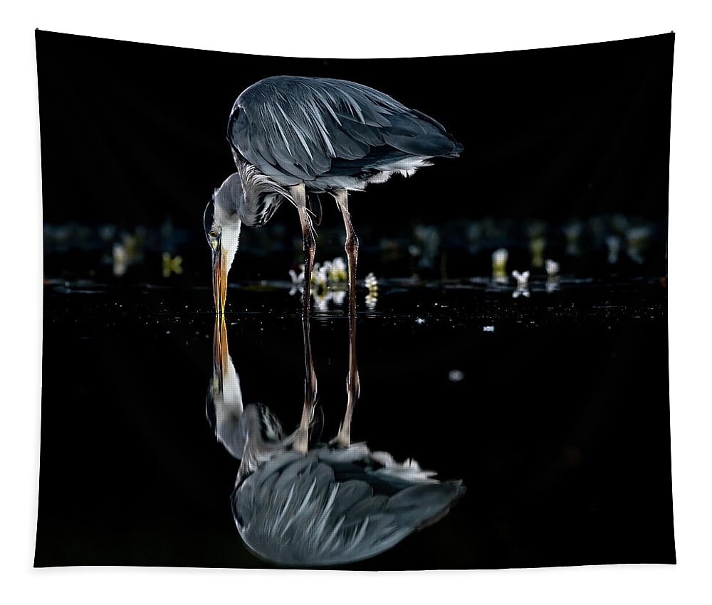 Grey Heron Tapestry featuring the photograph Searching by Mark Hunter
