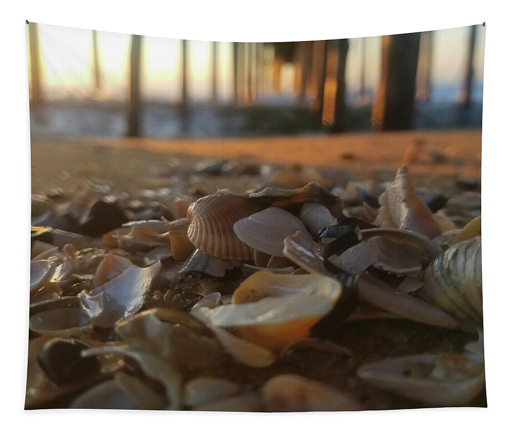 Seashells Tapestry featuring the photograph Seashells Under The Pier by Robert Banach