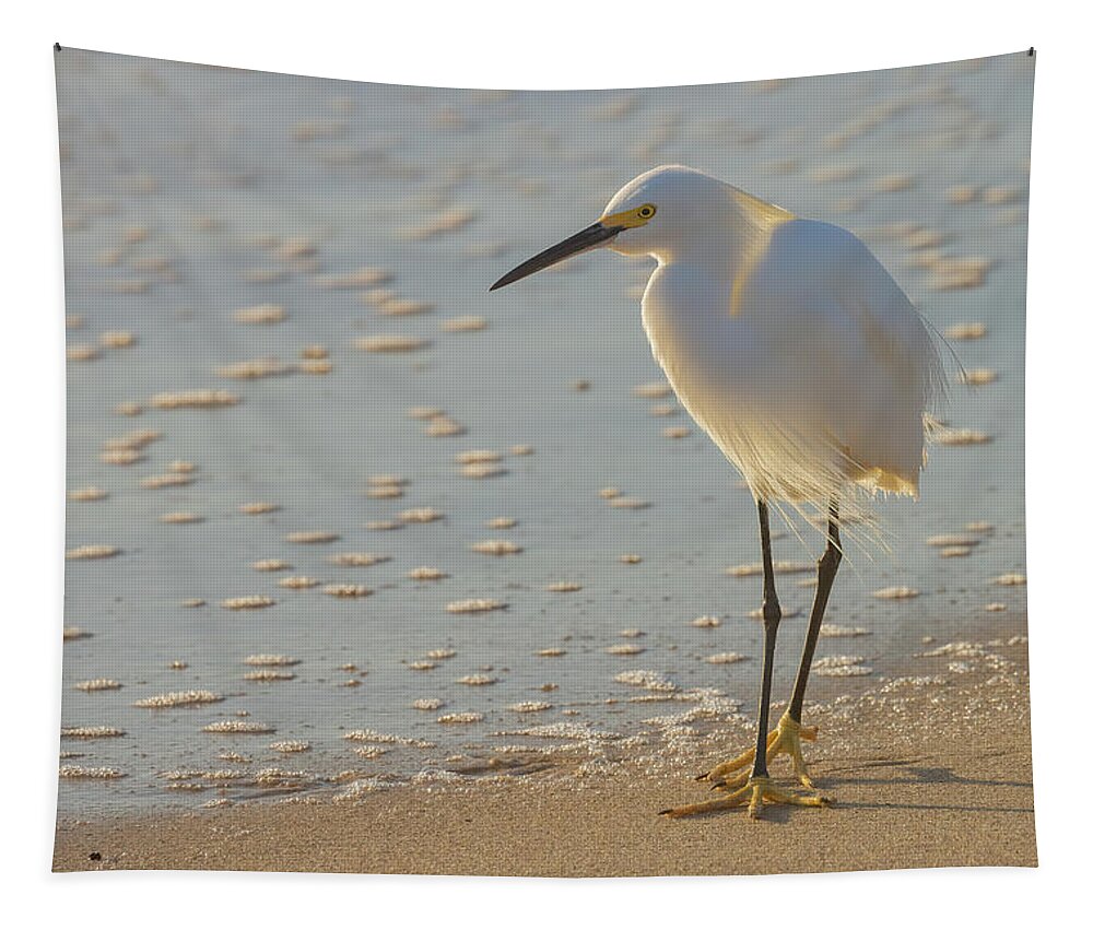 Egret Tapestry featuring the photograph Seaside Stroll by RD Allen