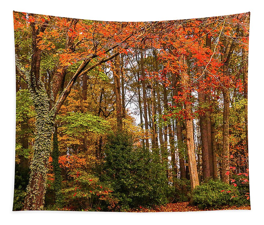 Trees Tapestry featuring the photograph Season of Colors by Ola Allen
