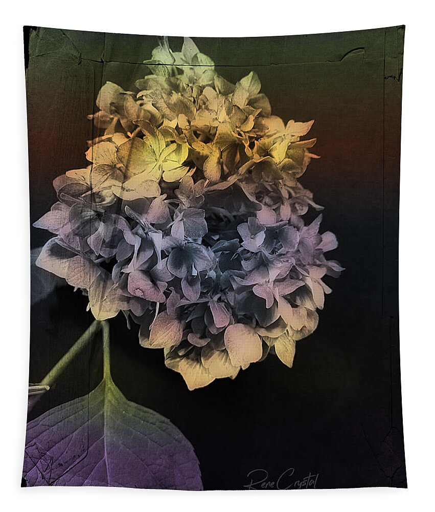 Hydrangea Tapestry featuring the photograph Season Of Transformation by Rene Crystal