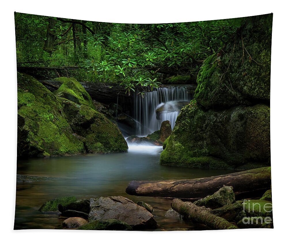 Secluded Tapestry featuring the photograph Secluded Waterfall by Shelia Hunt