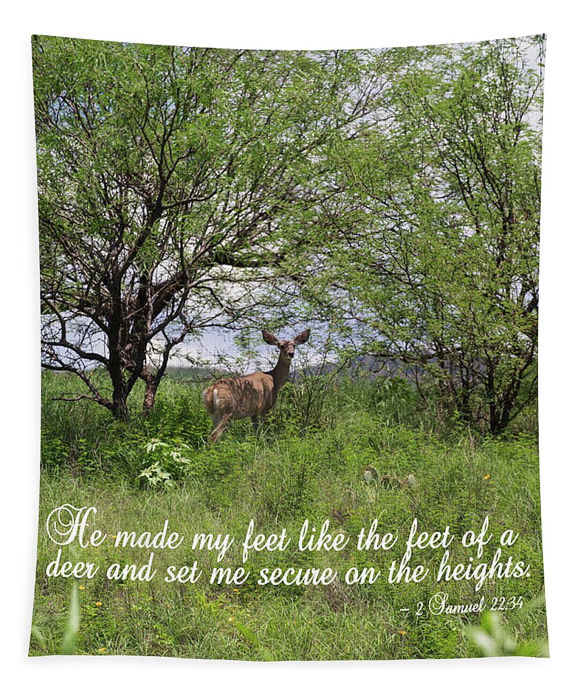 Mule Deer Tapestry featuring the photograph Secure on the Heights by Robert Harris