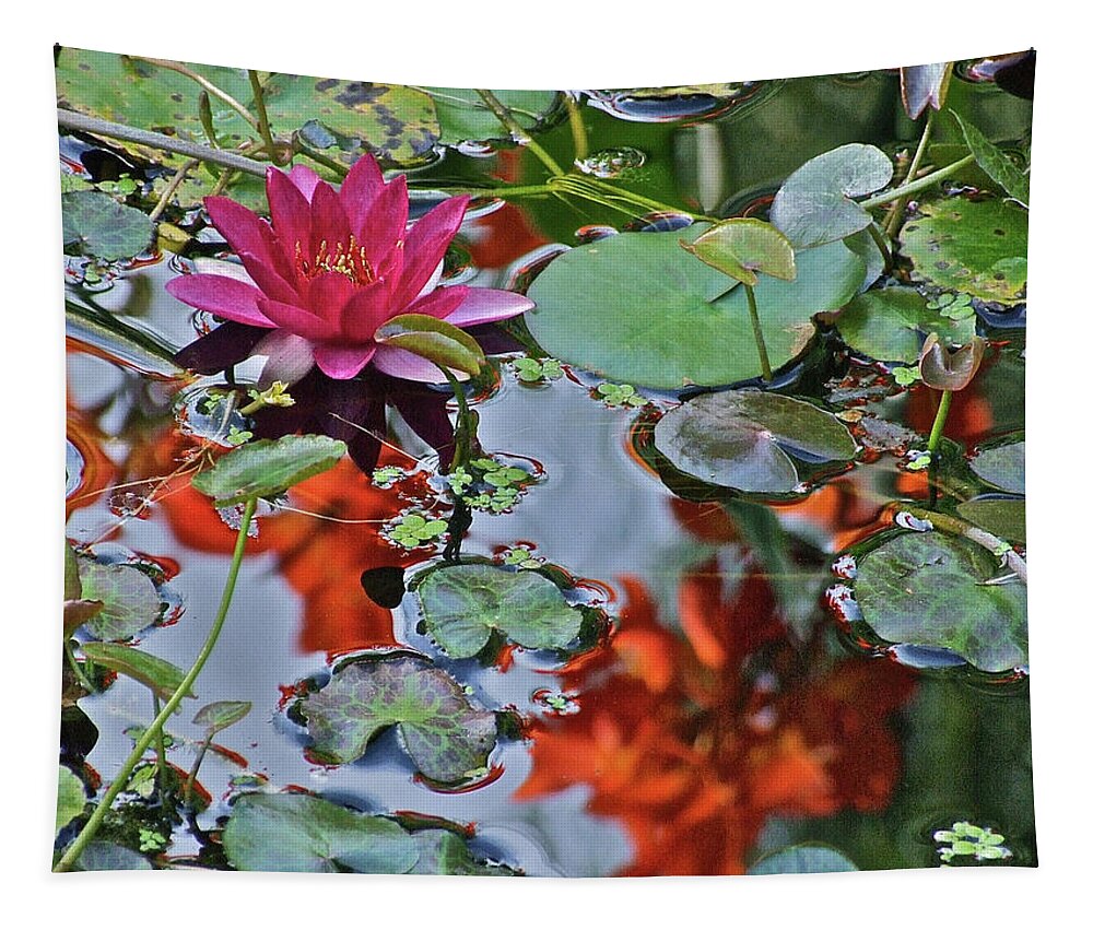 Waterlily: Water Garden Tapestry featuring the photograph September Rose Water Lily 1 by Janis Senungetuk
