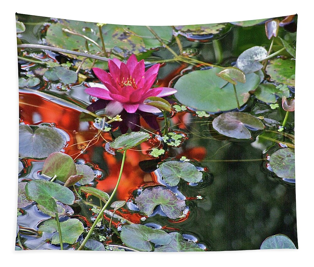 Water Lily: Water Garden Tapestry featuring the photograph September Rose Water Lily 2 by Janis Senungetuk