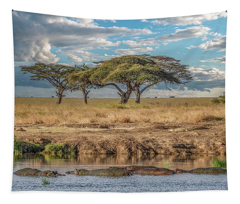 Tanzania Tapestry featuring the photograph Serengeti Evening by Marcy Wielfaert