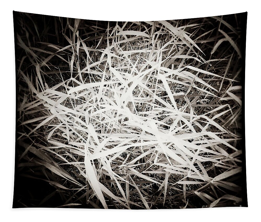 Monochrome Tapestry featuring the photograph Series Texture 1 by RicharD Murphy
