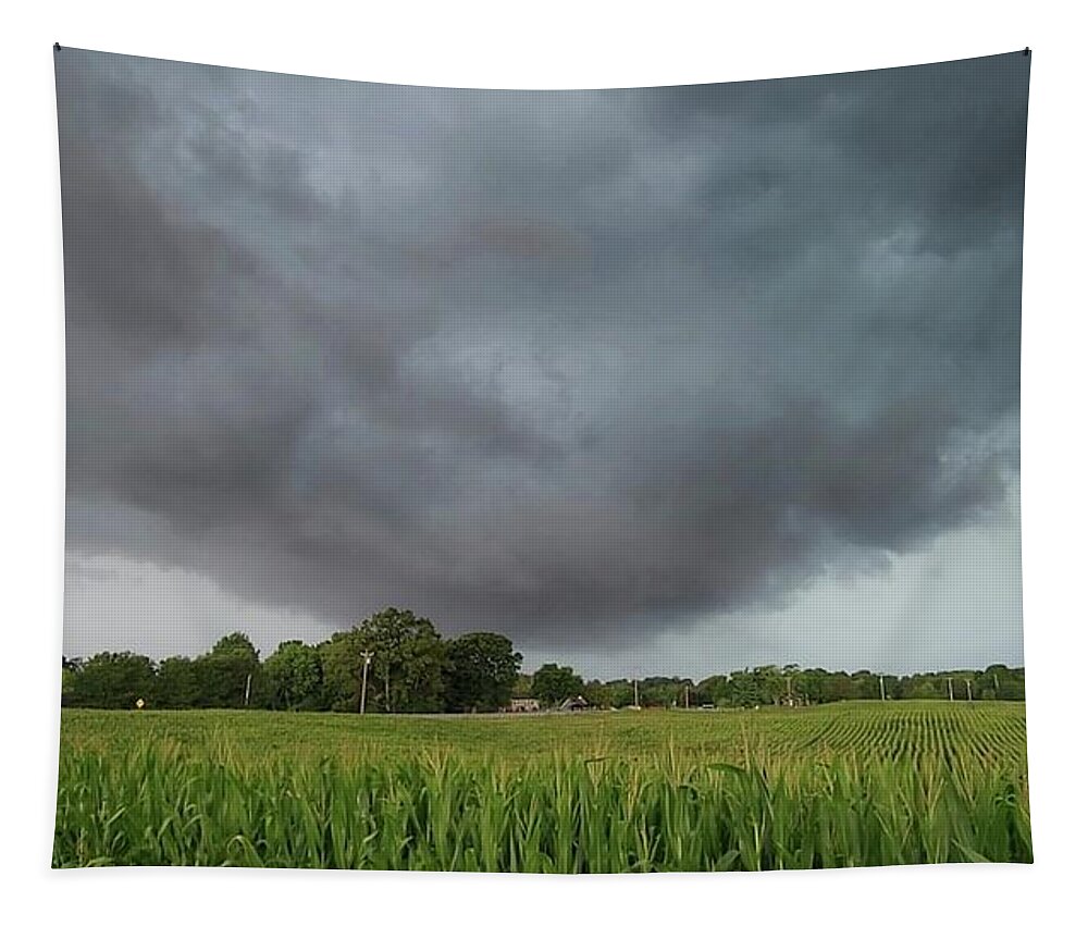 Weather Tapestry featuring the photograph Severe Storm Near Coopertown, Tennessee by Ally White