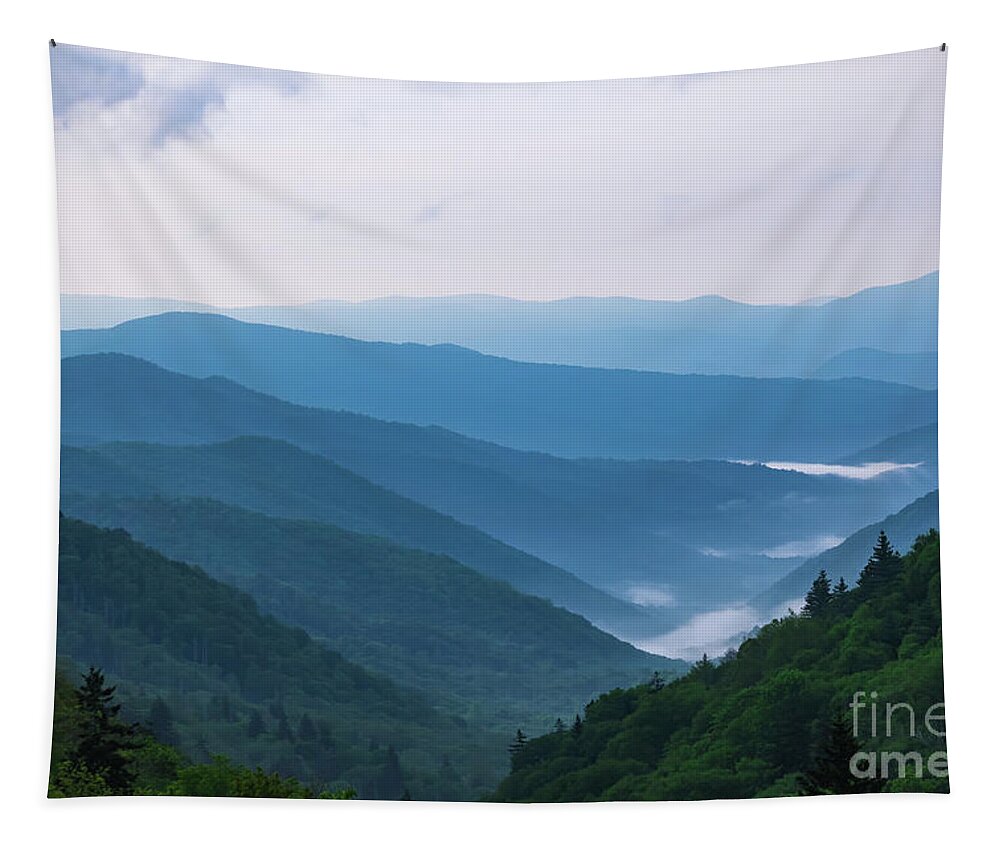 Blue Mountain Mist Tapestry featuring the photograph Morning shaconage, Smoky mountains by Theresa D Williams