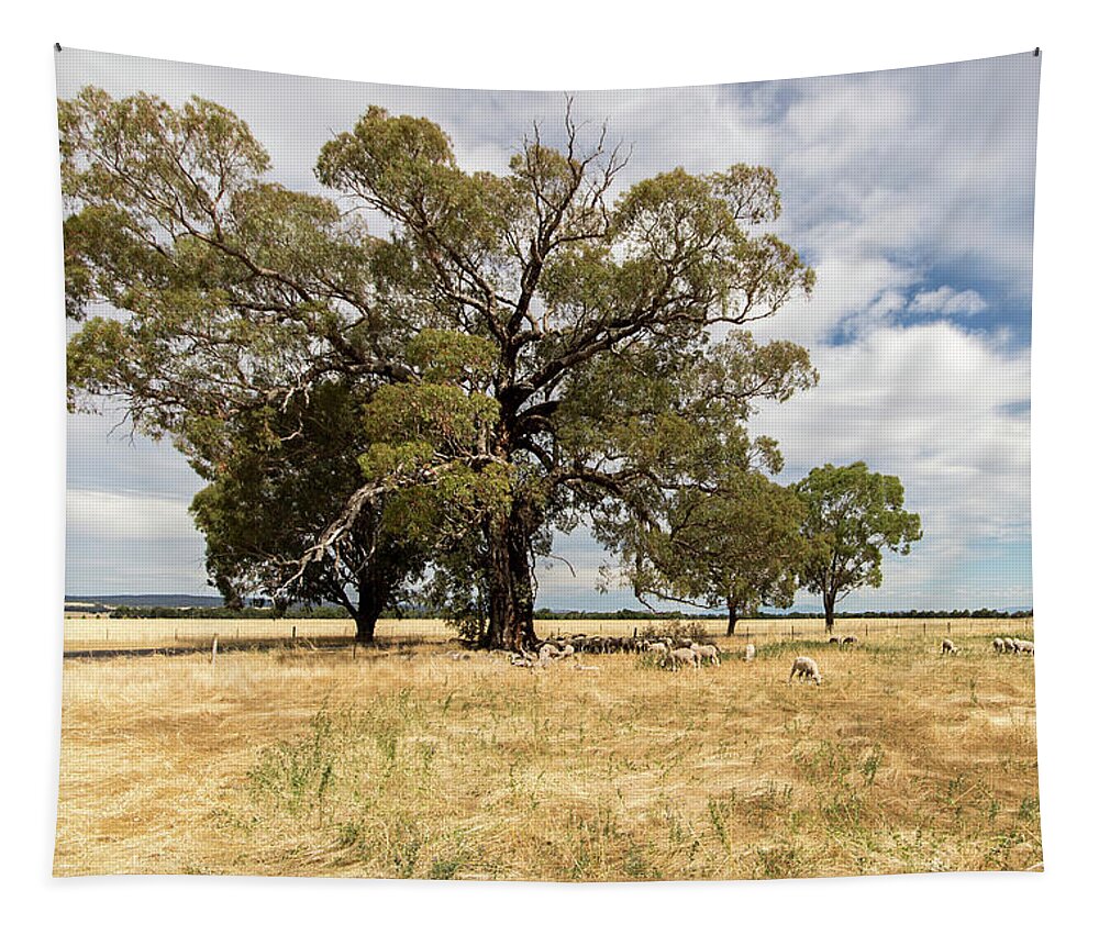 Paddock Tapestry featuring the photograph Shade, anywhere you can get it by Linda Lees