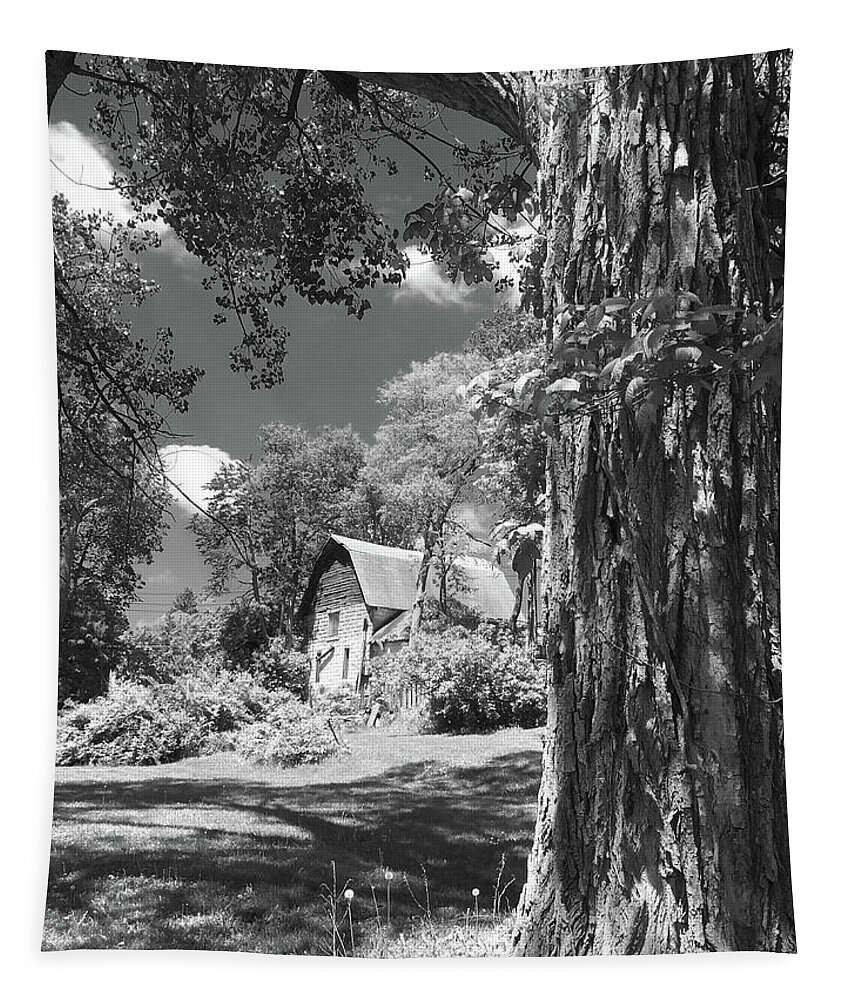 Black And White Tapestry featuring the photograph Shade Tree with a Barn by Mike McGlothlen