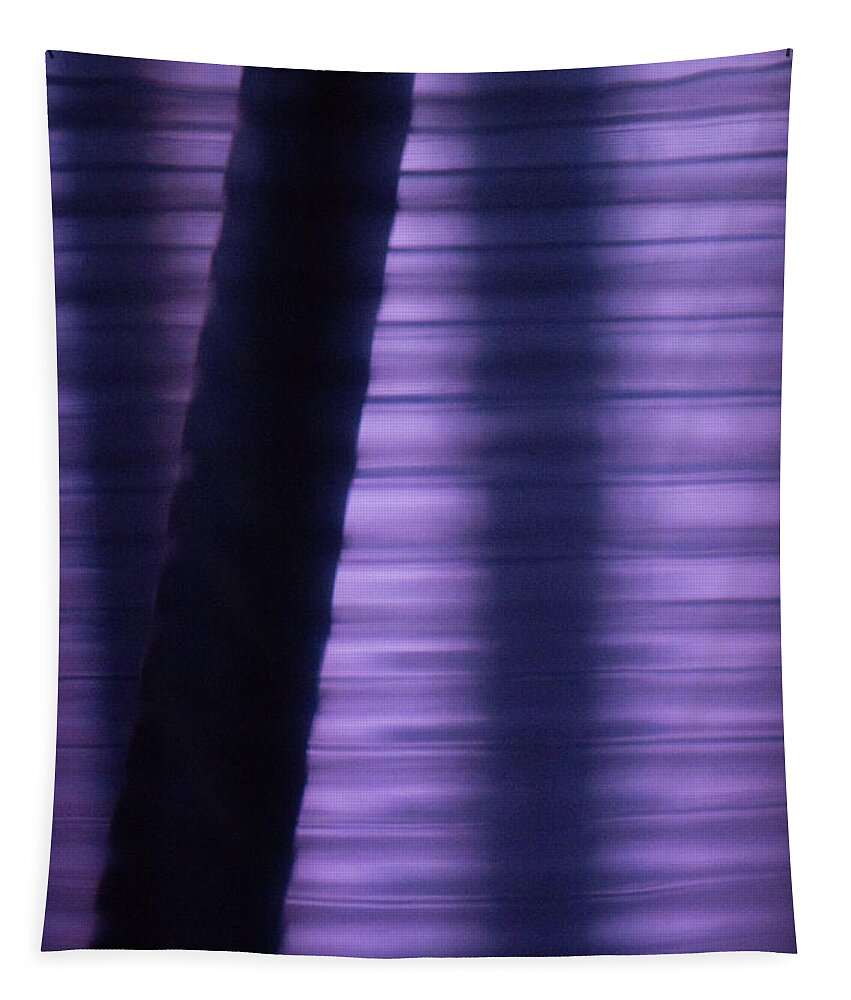 Abstract Tapestry featuring the photograph Shades of Purple by William Selander