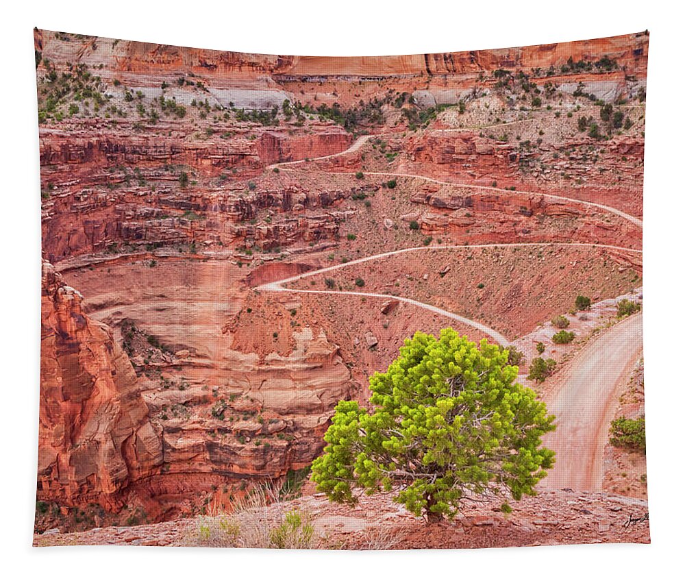 Shafer Canyon Overlook Tapestry featuring the photograph Shafer Canyon by Jurgen Lorenzen