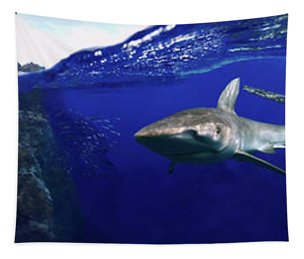 Sharks Tapestry featuring the digital art Shark scene by Artesub