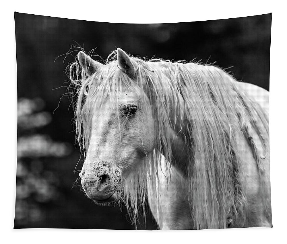 Black And White Tapestry featuring the photograph Shawnee Mare and Dogwoods by Holly Ross