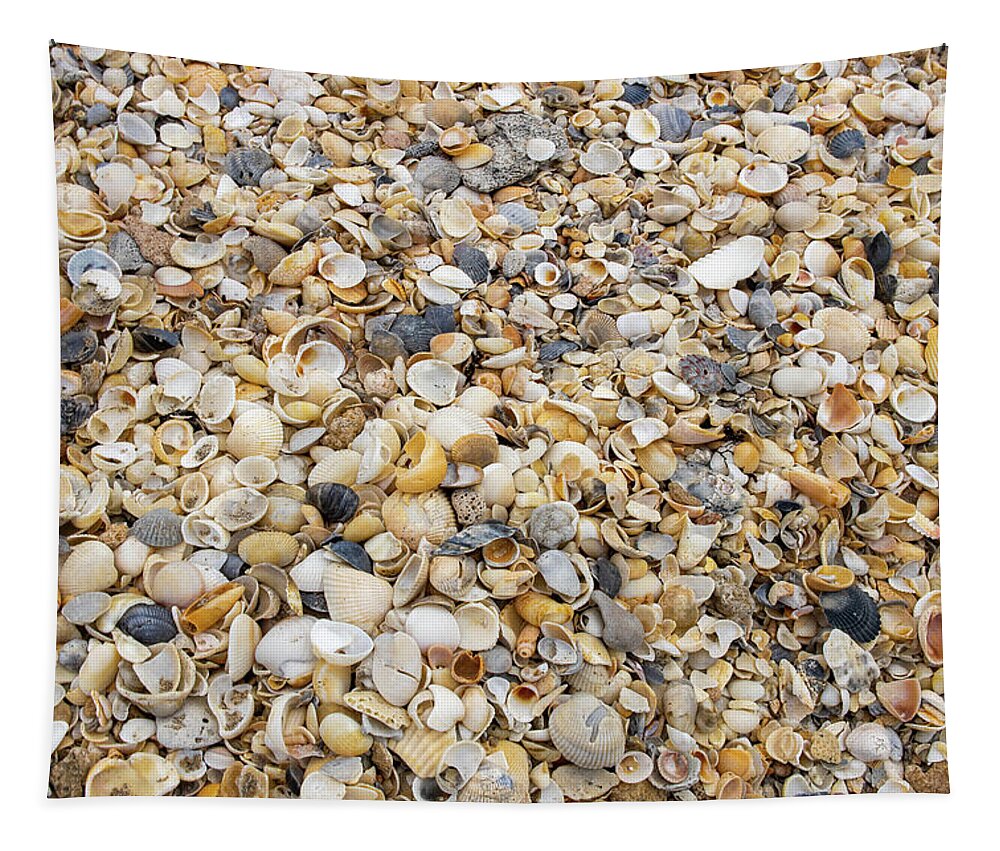 Shell Tapestry featuring the photograph Shells By The Sea by Blair Damson