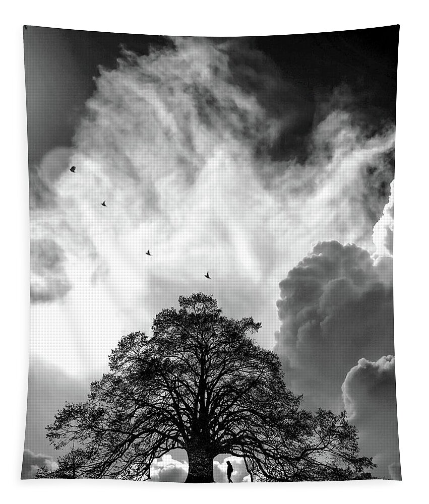 Fine Art Tapestry featuring the photograph Sheltering Sky by Sofie Conte