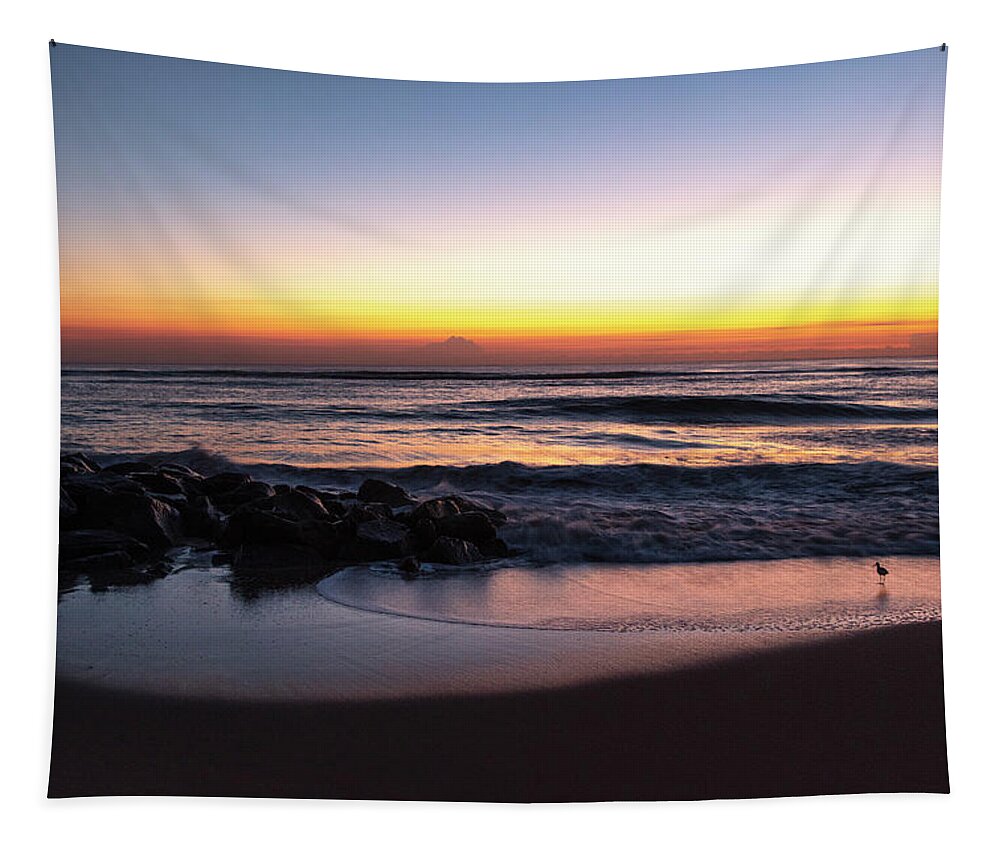 Birds Tapestry featuring the photograph Shorebird at Dawn by Debra and Dave Vanderlaan