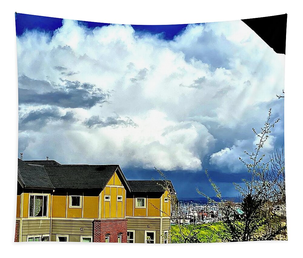 Weather Tapestry featuring the photograph Shower of Hail from my patio by Michael Oceanofwisdom Bidwell