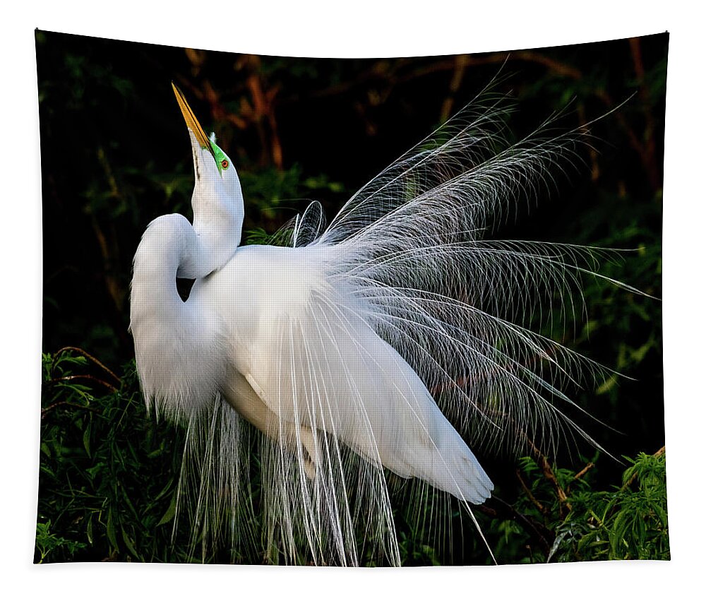 Great Egret Tapestry featuring the photograph Showoff by Jim Miller