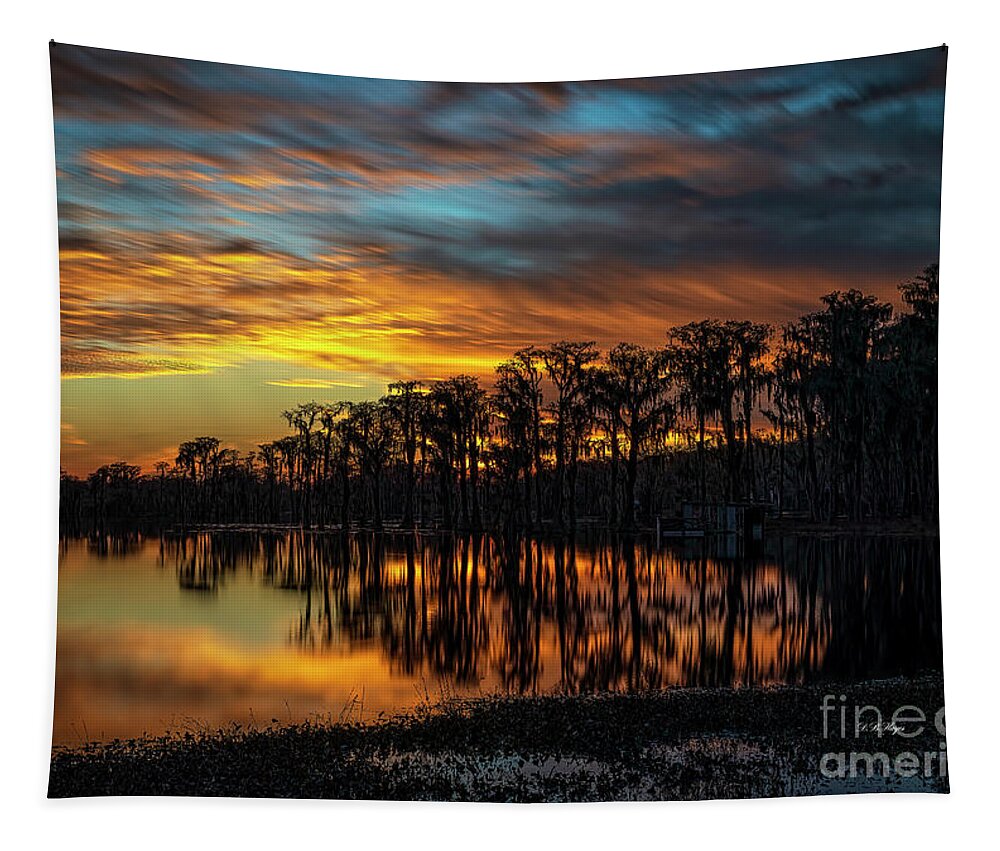 Sunsets Tapestry featuring the photograph Showtime by DB Hayes
